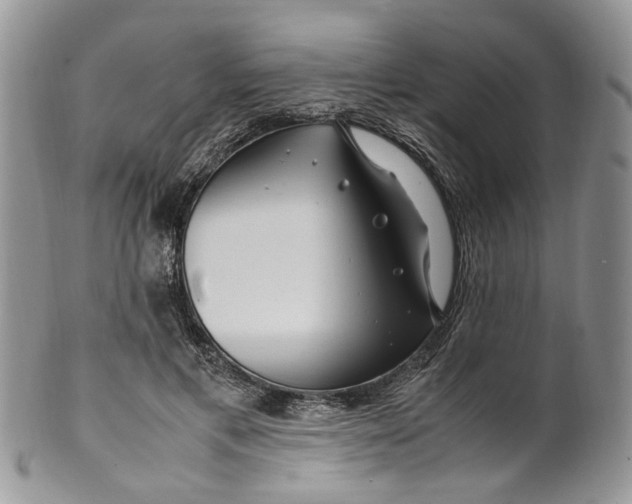 X0000099510597200806051149