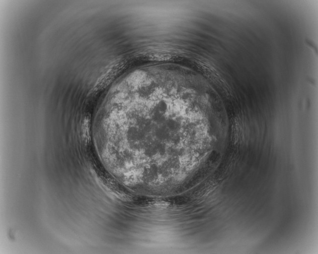 X0000099510598200806051149