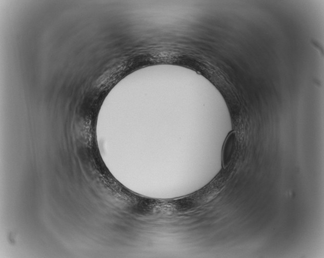 X0000099510599200806051149