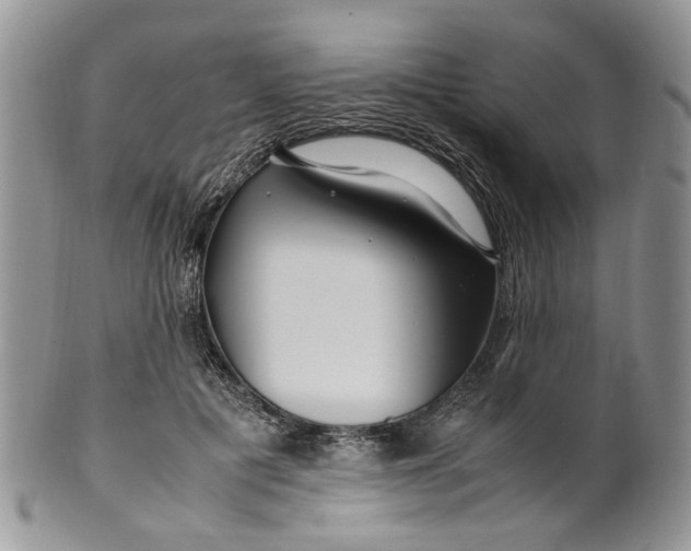 X0000099510601200806051148