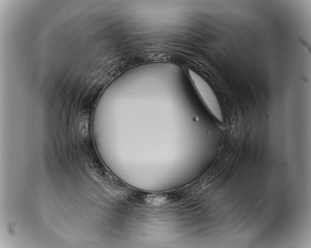 X0000099510602200806051148