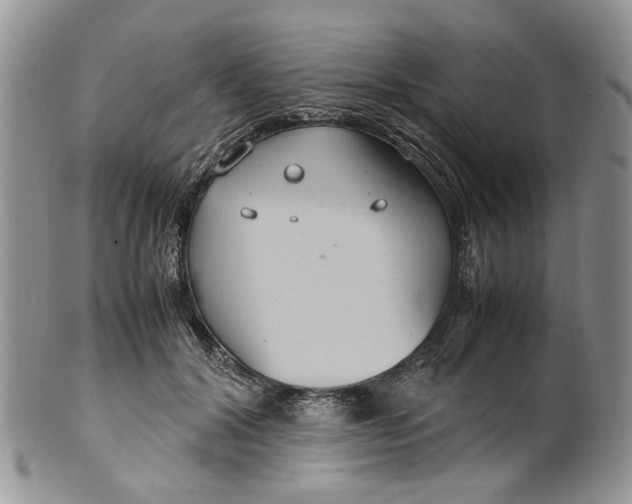 X0000099510604200806051148