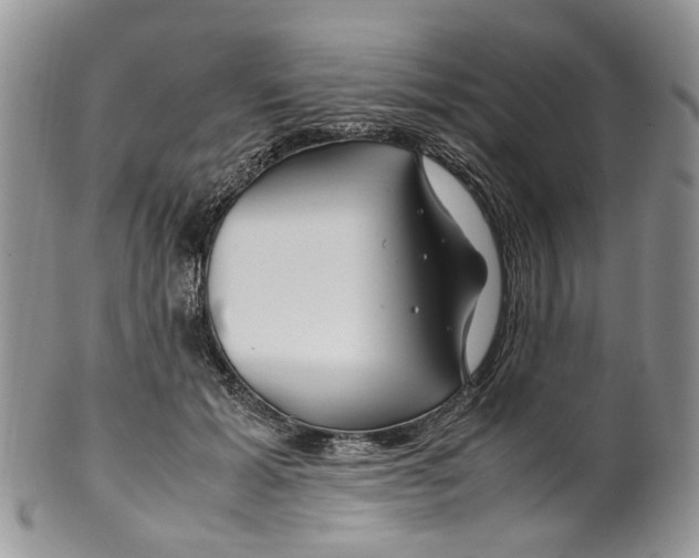 X0000099510605200806051148