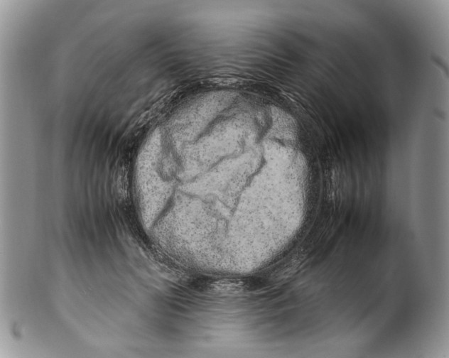 X0000099510606200806051148