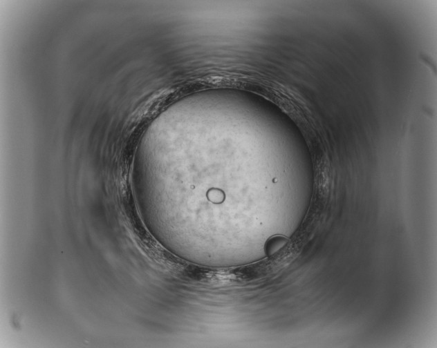 X0000099510607200806051148