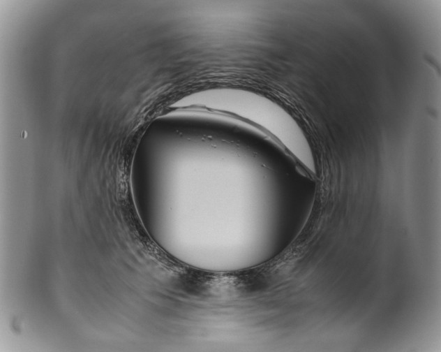 X0000099510609200806051148