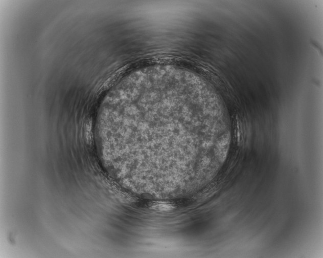 X0000099510610200806051148