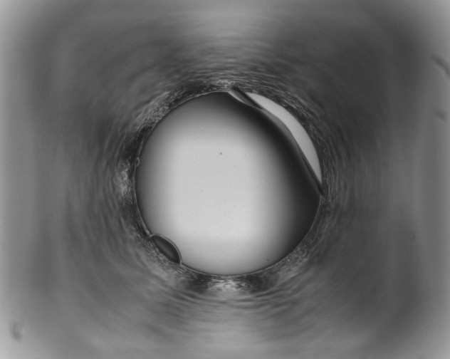 X0000099510611200806051148