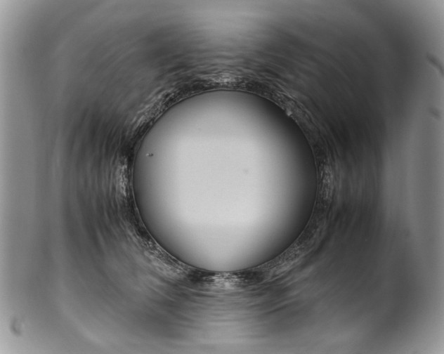 X0000099510612200806051148