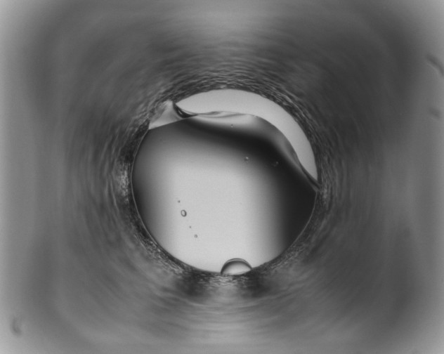 X0000099510613200806051148