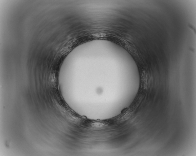 X0000099510614200806051148