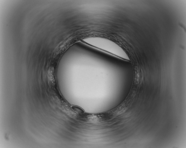 X0000099510616200806051148