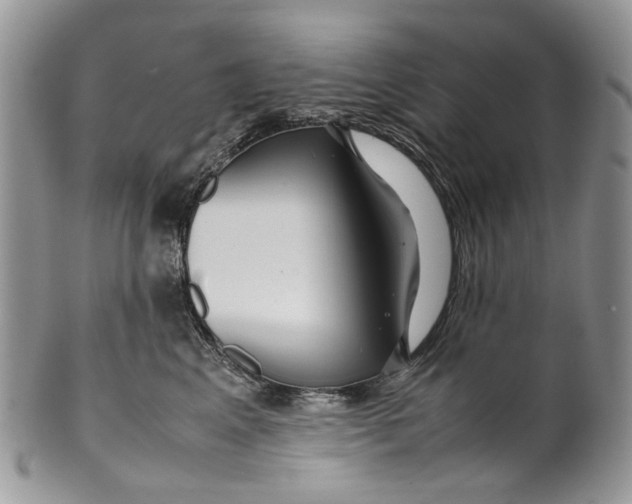 X0000099510617200806051148