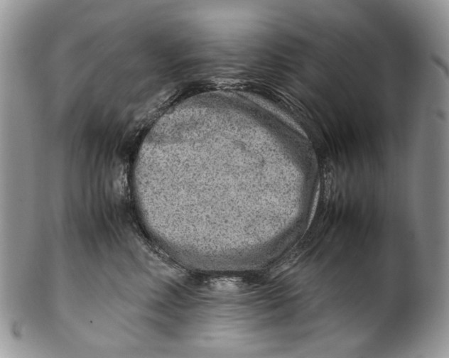 X0000099510618200806051148