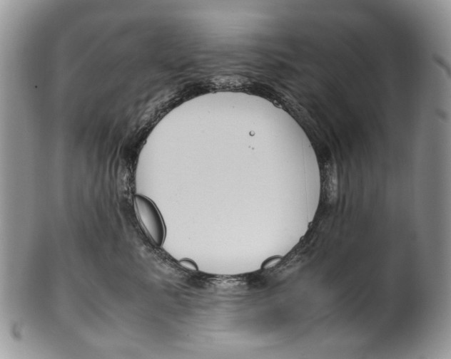 X0000099510619200806051148