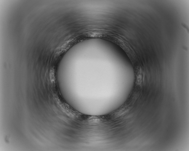 X0000099510620200806051148