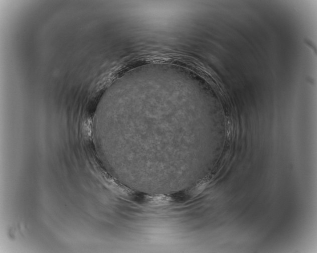 X0000099510621200806051148