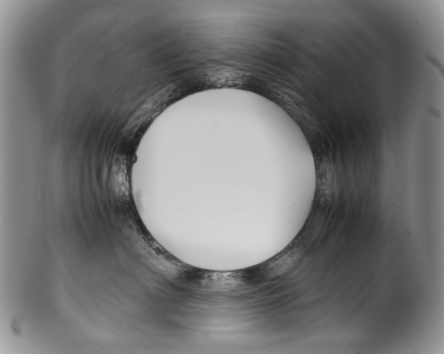 X0000099510622200806051148