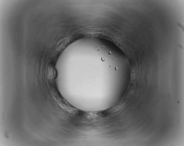 X0000099510623200806051148