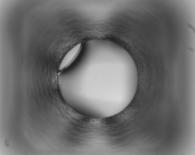 X0000099510624200806051148