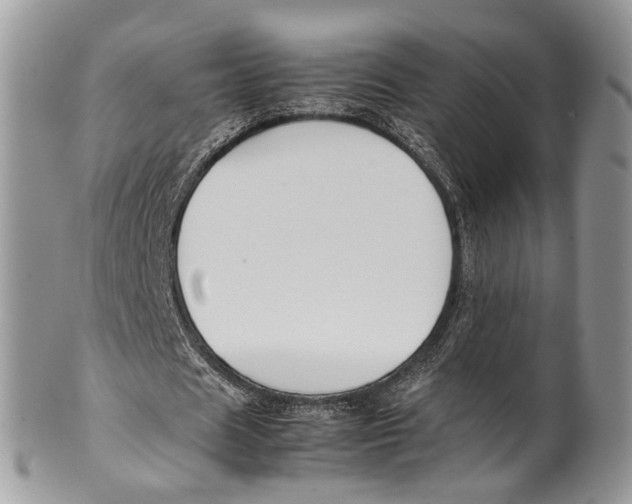 X0000099510625200806051147