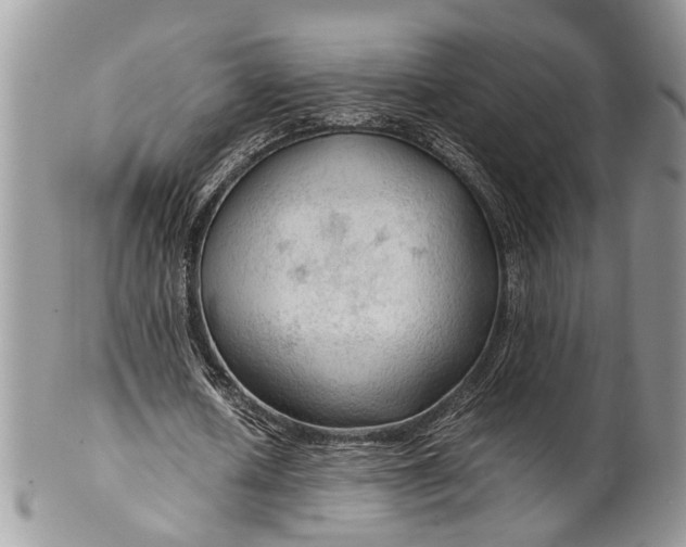 X0000099510626200806051147