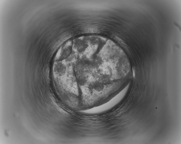 X0000099510627200806051148