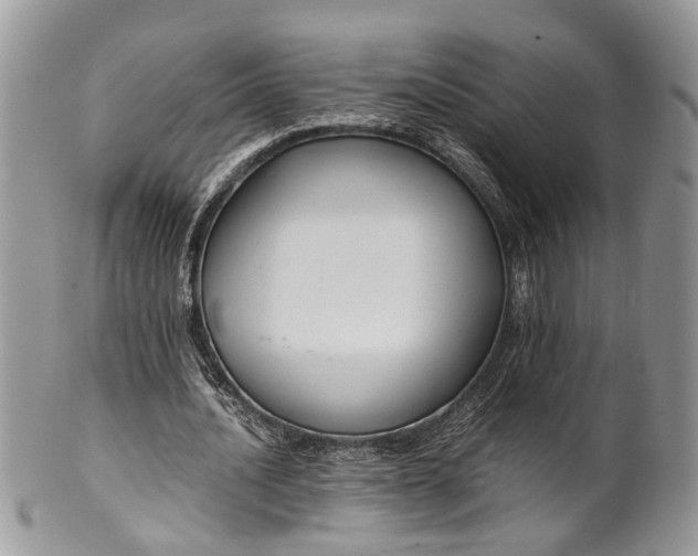 X0000099510628200806051148