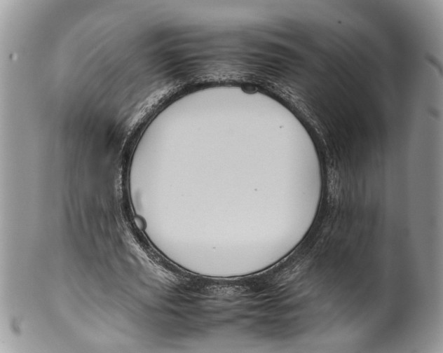 X0000099510629200806051148