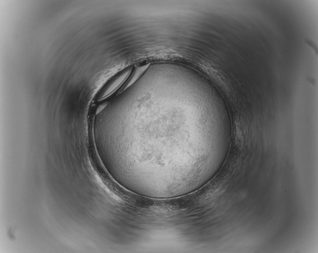 X0000099510630200806051148