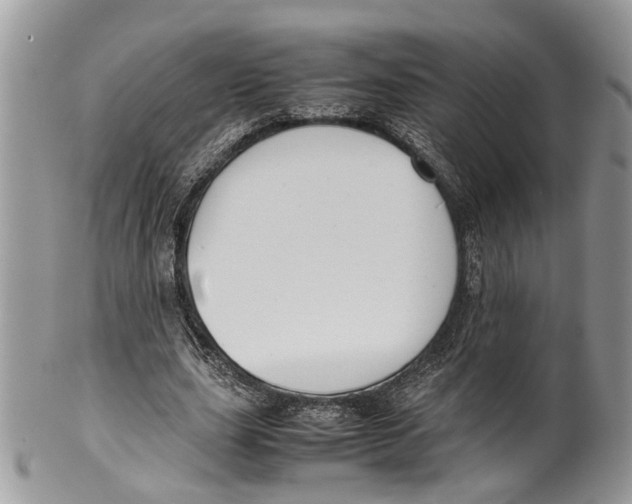 X0000099510631200806051148