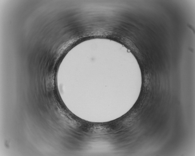 X0000099510632200806051148