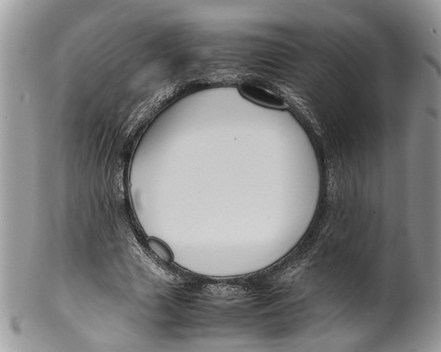 X0000099510633200806051148