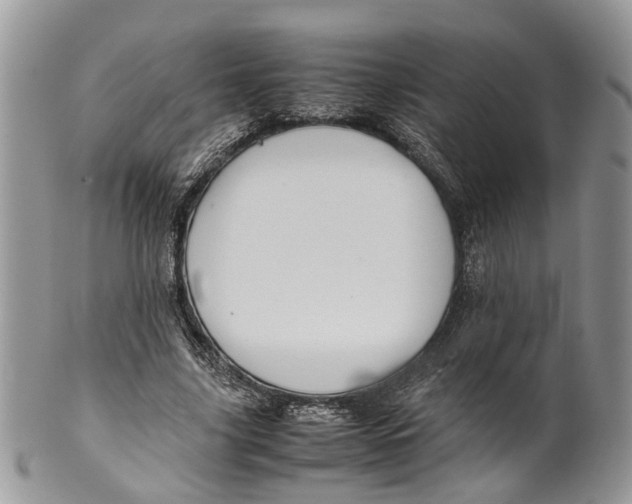 X0000099510635200806051148