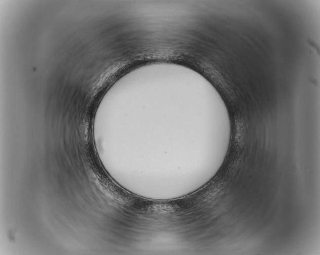 X0000099510636200806051148