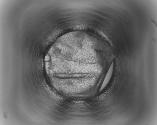 X0000099510637200806051148