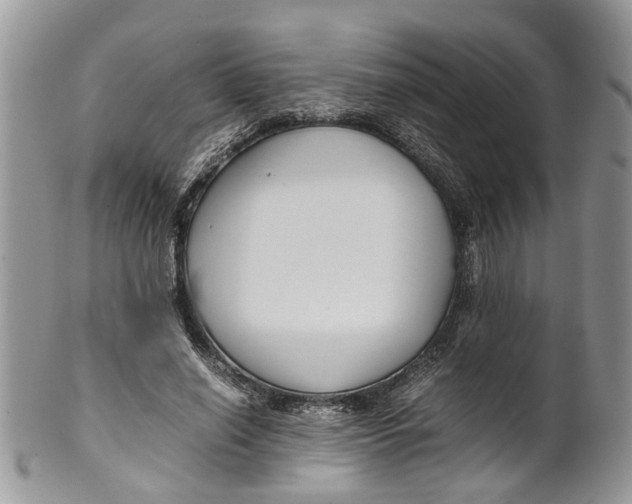 X0000099510638200806051148