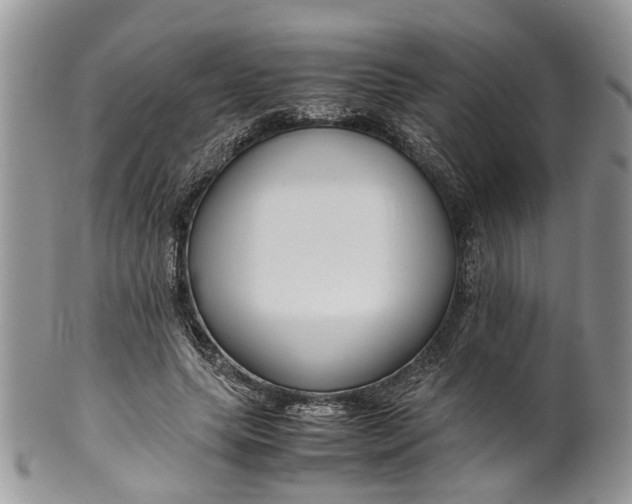 X0000099510639200806051148