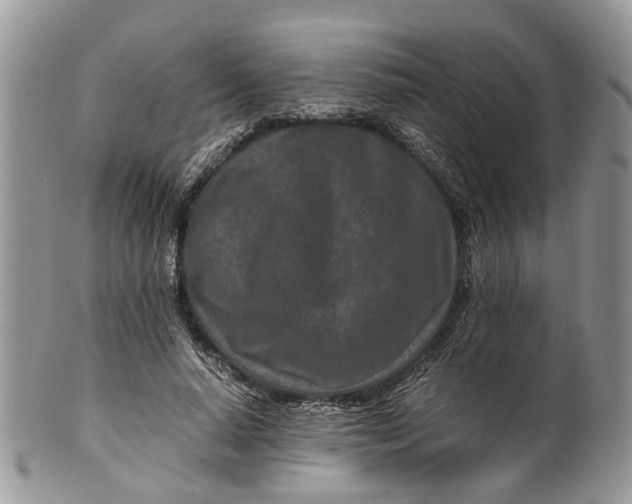 X0000099510640200806051148