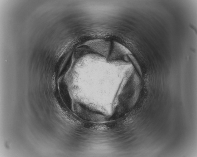 X0000099510642200806051148