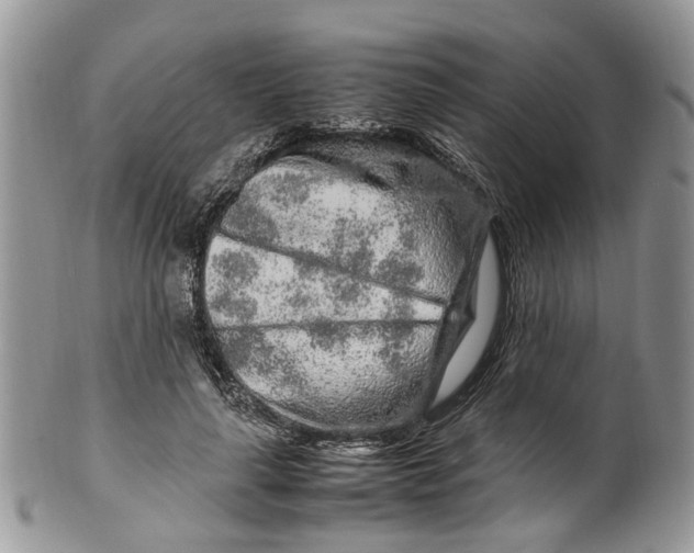 X0000099510643200806051148