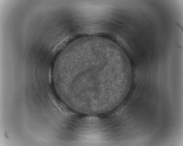 X0000099510644200806051148