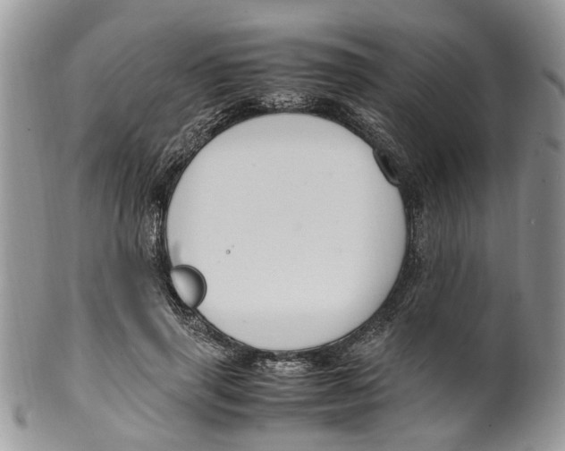 X0000099510645200806051148