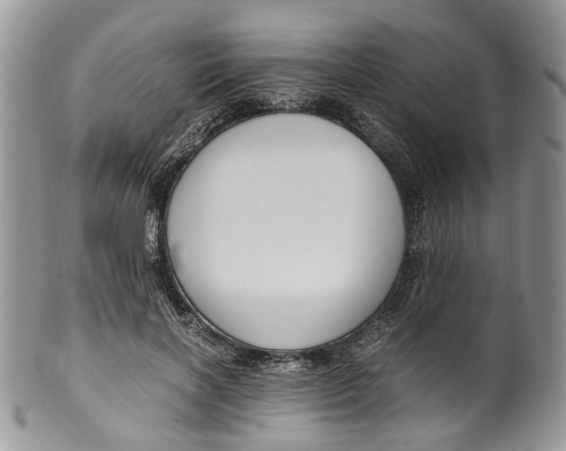 X0000099510646200806051148