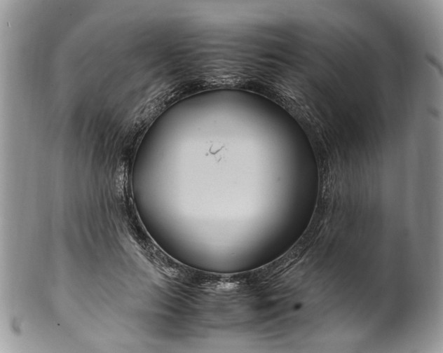 X0000099510647200806051148