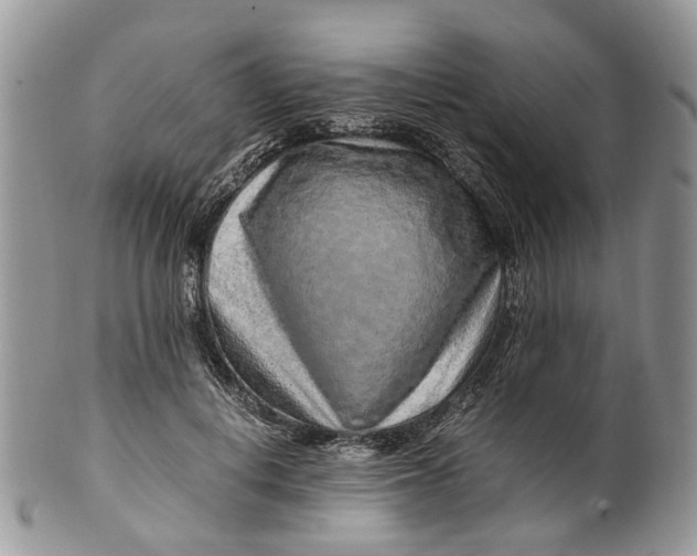 X0000099510648200806051148