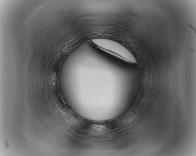 X0000099510649200806051148