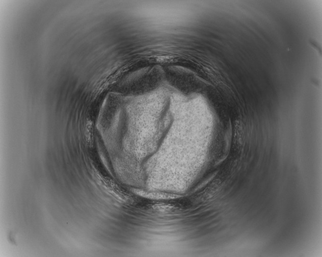 X0000099510650200806051148