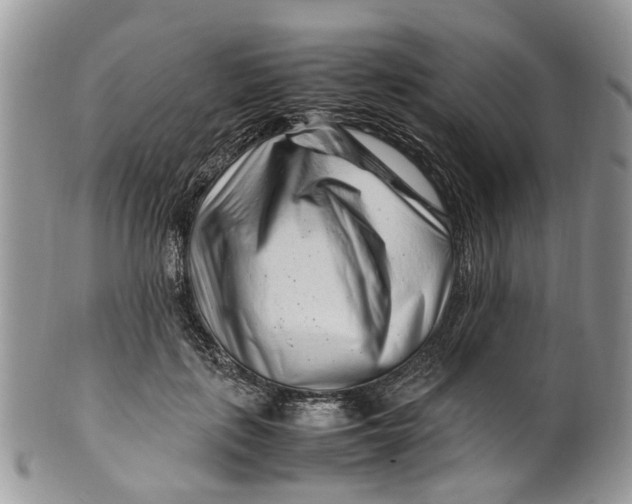 X0000099510651200806051148