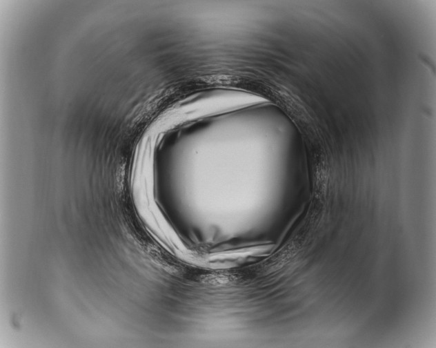 X0000099510652200806051148